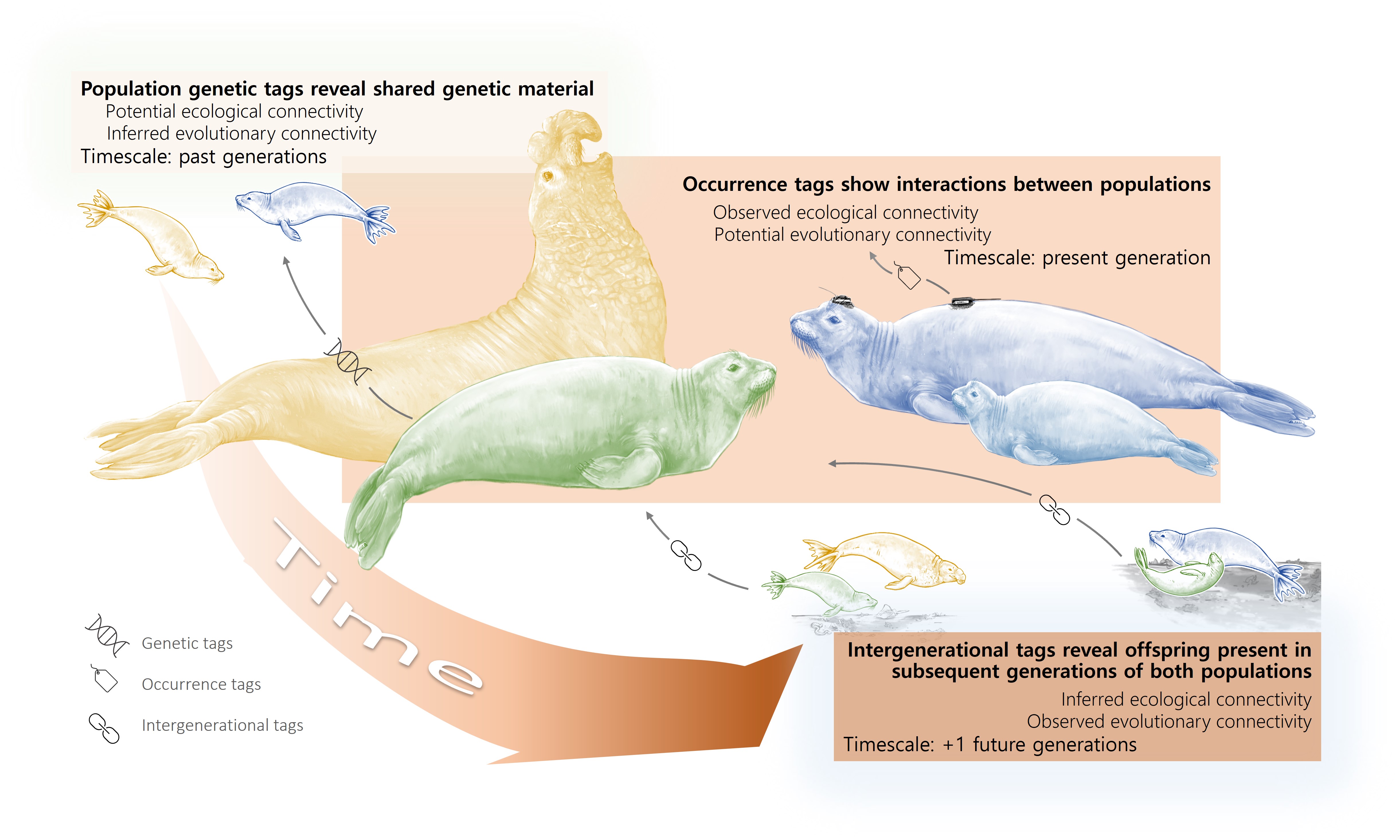 a-unifying-framework-for-understanding-ecological-and-evolutionary